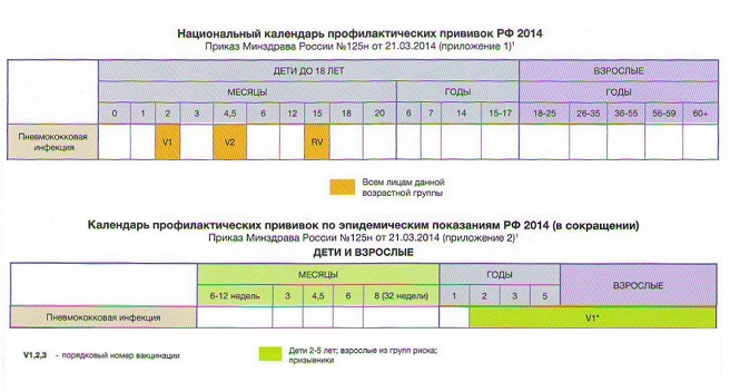 Календарь вакцинации от пневмококковой инфекции