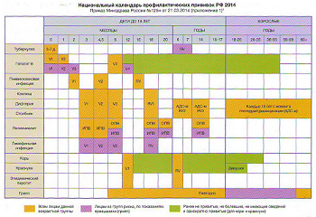 Национальный календарь профилактических прививок детям